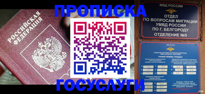 прописка гарантия в Ельце